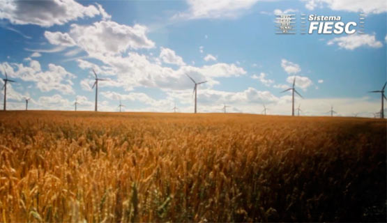 Energias renováveis ganham força