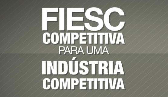 Por uma indústria competitiva